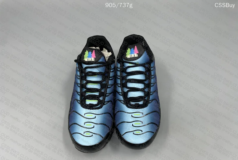 Air max Tn Nature Blue