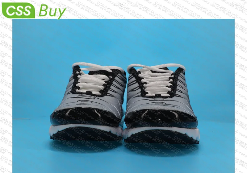 AIR MAX TN PLUS 2