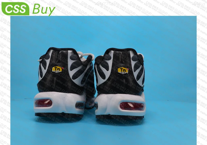 AIR MAX TN PLUS 3