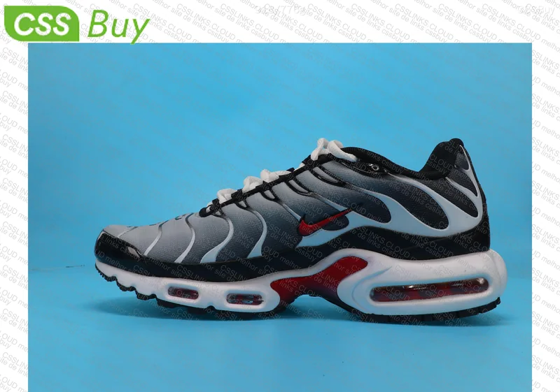AIR MAX TN PLUS 5