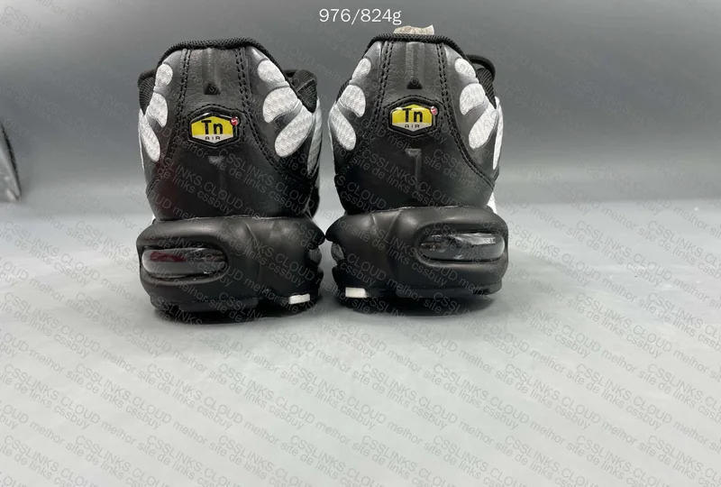 Air Max TN Black and White 6