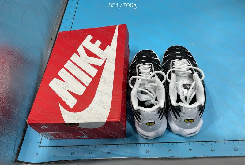 Air Max TN Black and White