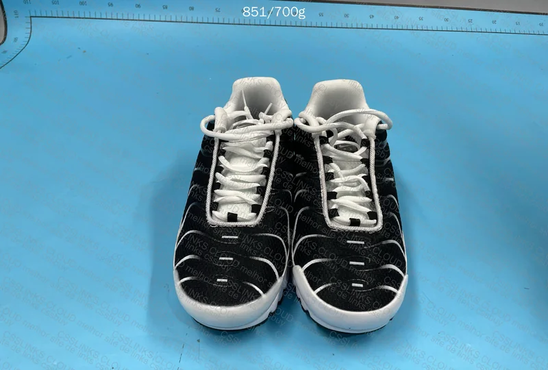 Air Max TN Black and White 6