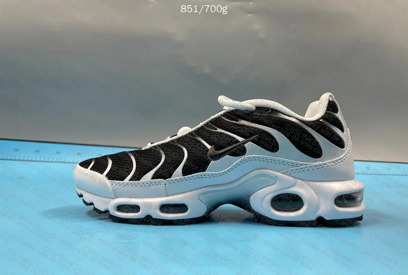 Air Max TN Black and White 2