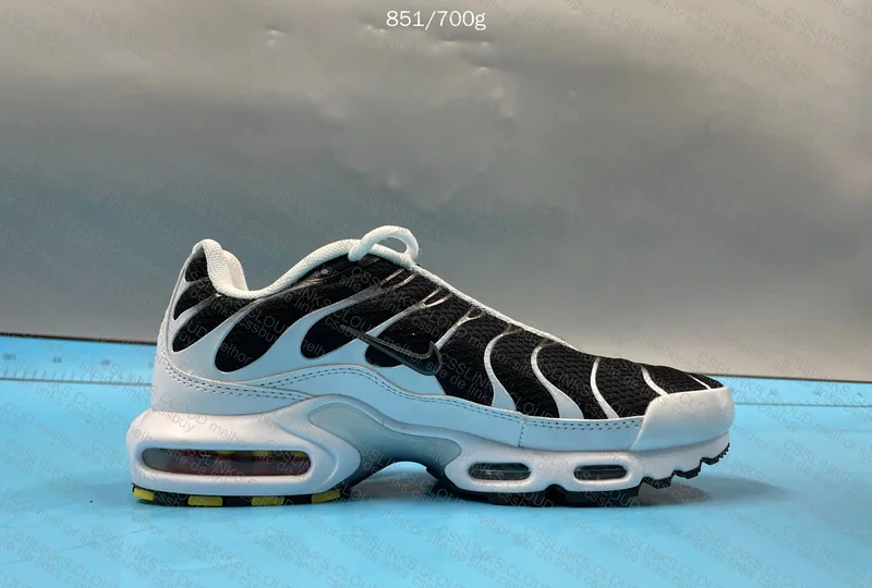 Air Max TN Black and White 9