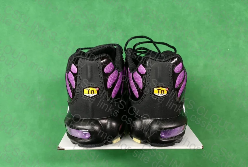 Air max Tn reverse grape 3