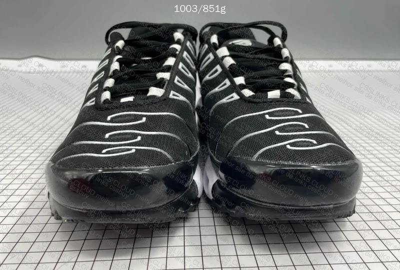 Air Max TN Venom 2