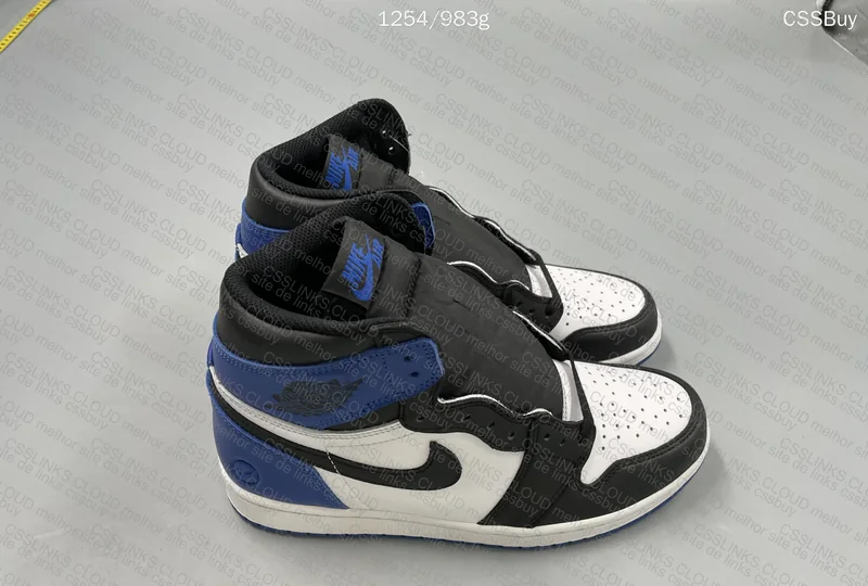 AJ1 fragment