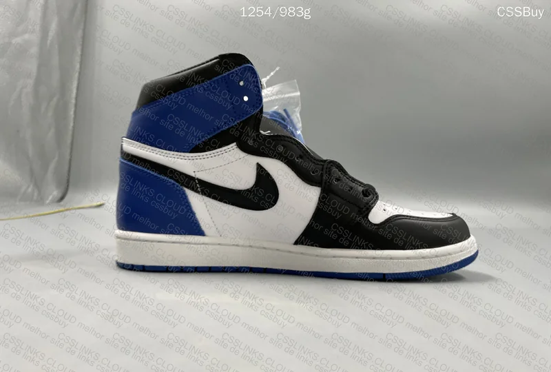 AJ1 fragment 9
