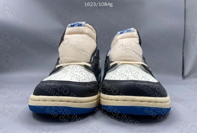 aj1 fragment
