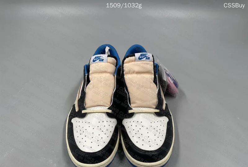 AJ1 FRAGMENT TS