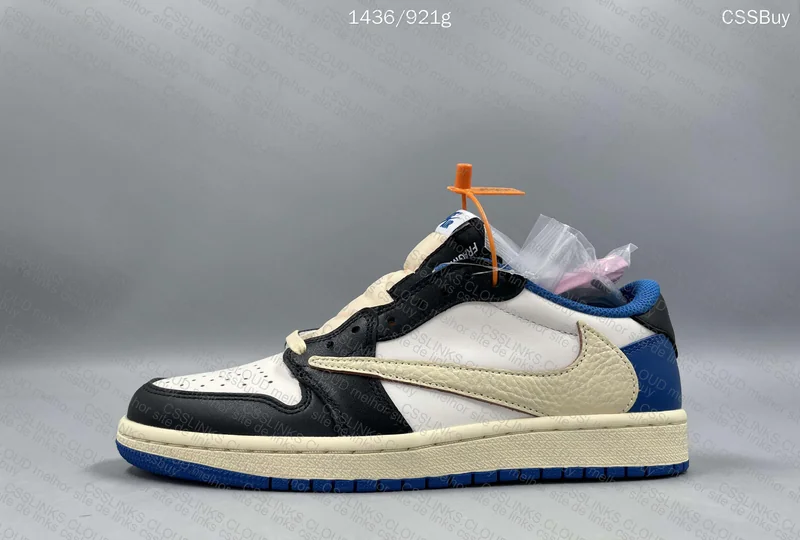 Aj1 Fragment ZOK 3