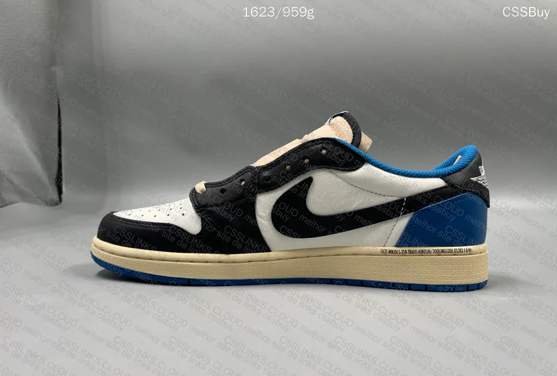 AJ1 low TS Fragment 2