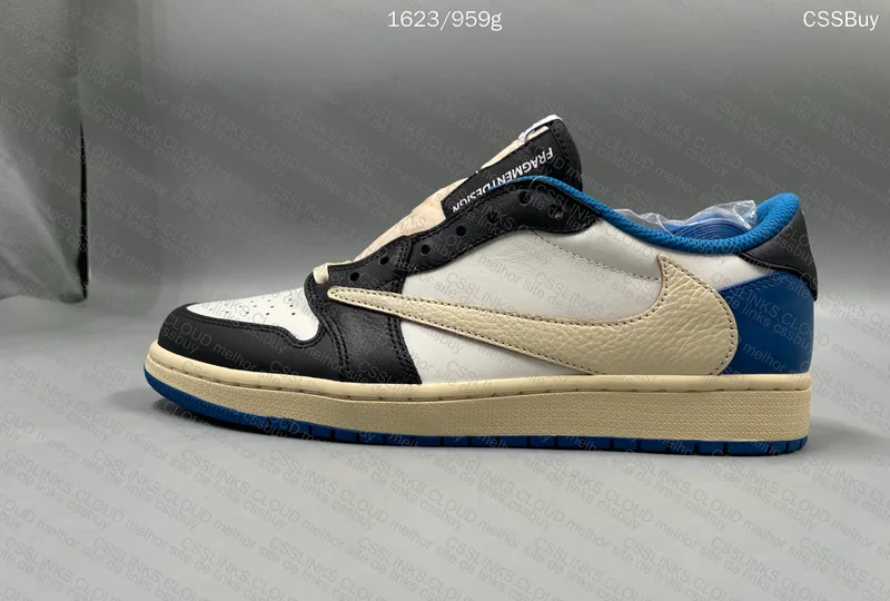 AJ1 low TS Fragment 4