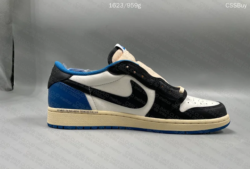 AJ1 low TS Fragment 5