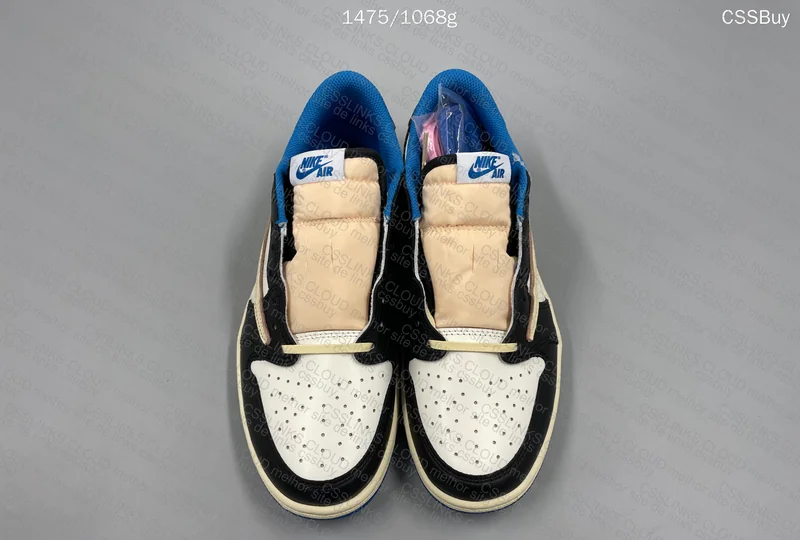 Aj1 Low TS x Fragment 9