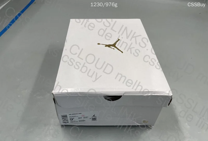 Aj1 mid cactus flower 2