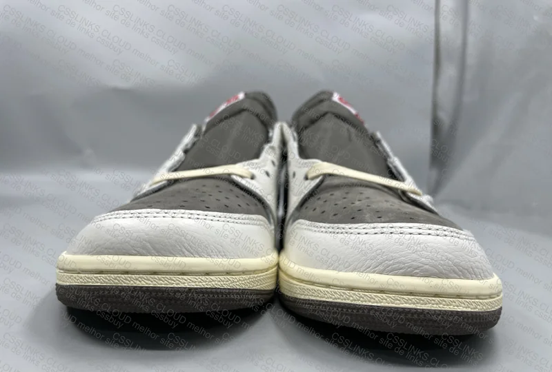 Aj1 Reverse Mocha Travis 2
