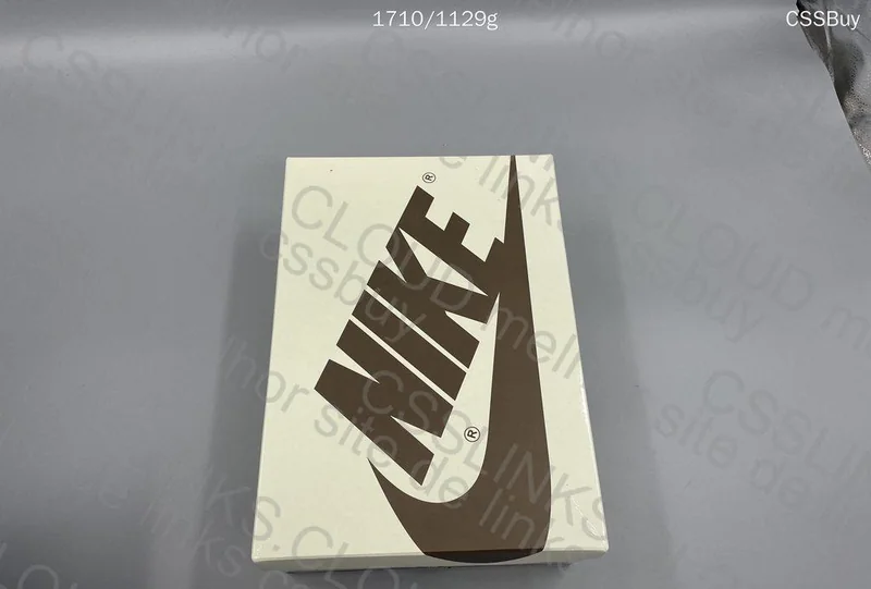AJ1 Travis reverse 3