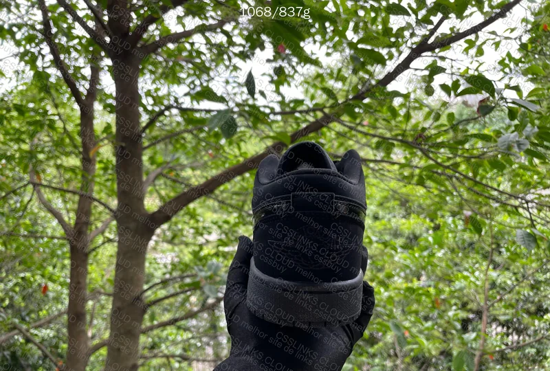AJ1 TRIPLE BLACK IN NATURAL LIGHT 4