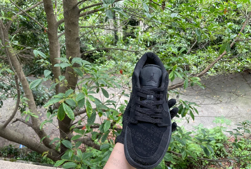 AJ1 TRIPLE BLACK IN NATURAL LIGHT 5