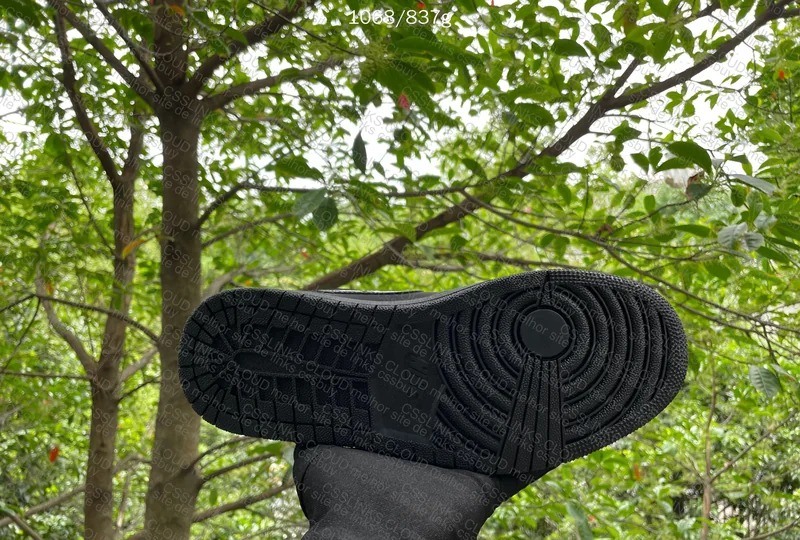 AJ1 TRIPLE BLACK IN NATURAL LIGHT 6