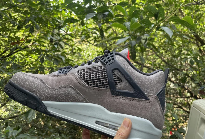 AJ4 'Taupe Haze' (Amazing Photo)
