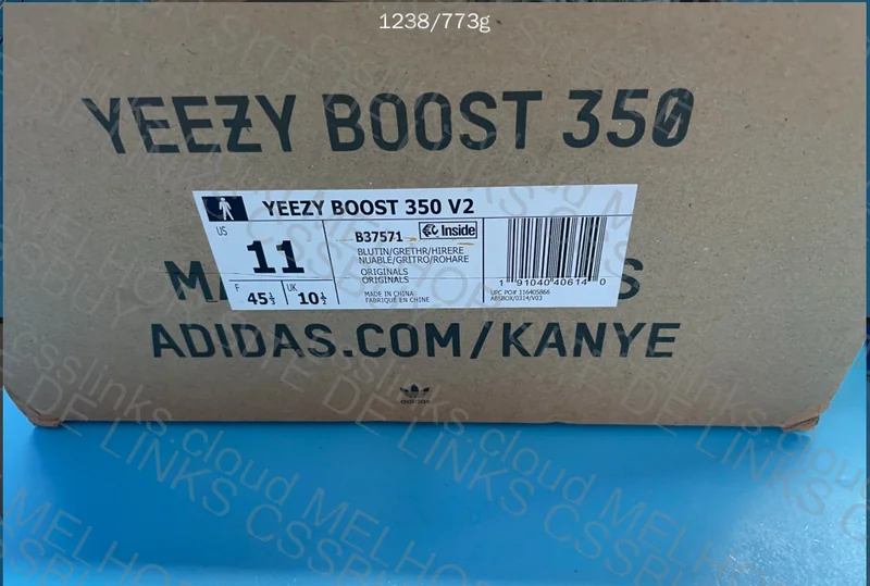 (AJUDA) Yeezy Blue Tint 2