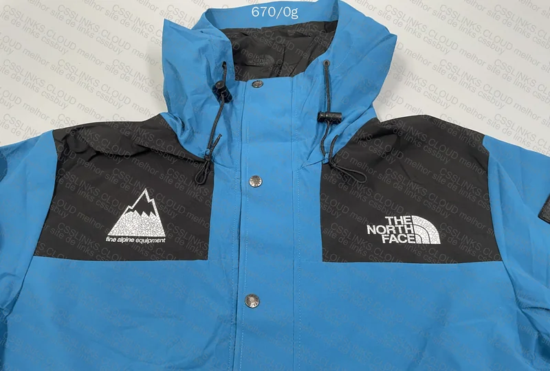 Alpine x The North Face 3