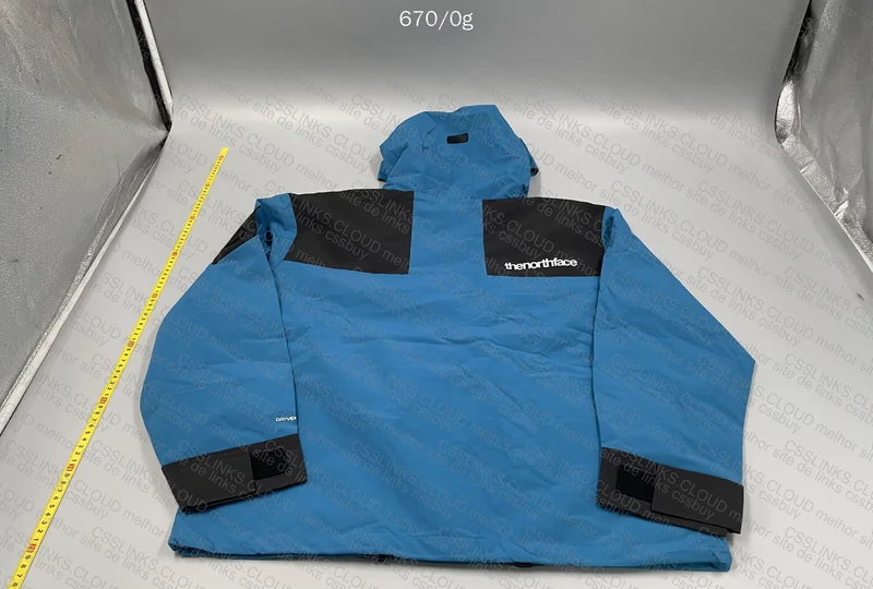 Alpine x The North Face 6