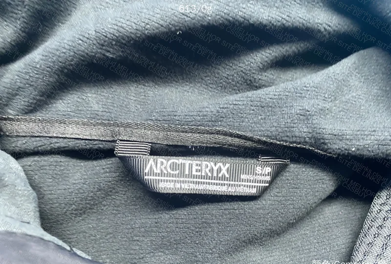 Arc'teryx Gamma MX Hoody 6