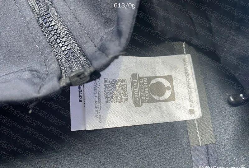 Arc'teryx Gamma MX Hoody 7