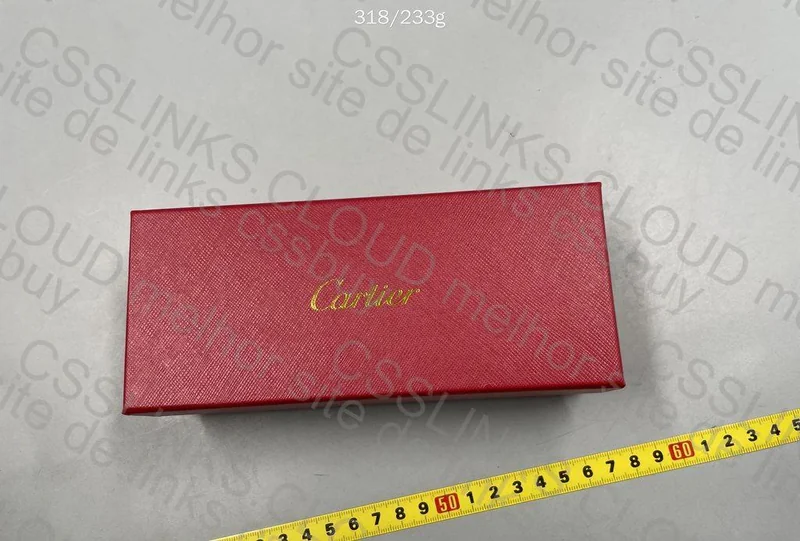 Cartier Frame CT03080 2