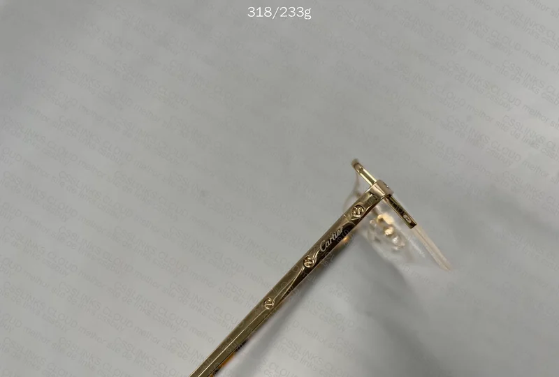 Cartier Frame CT03080 3
