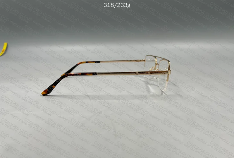 Cartier Frame CT03080 4