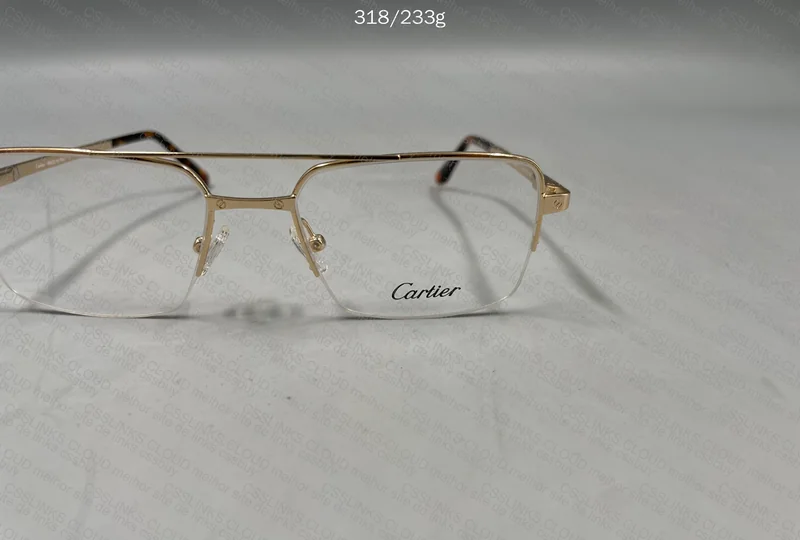 Cartier Frame CT03080 5