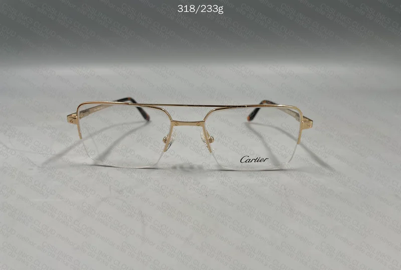 Cartier Frame CT03080 7