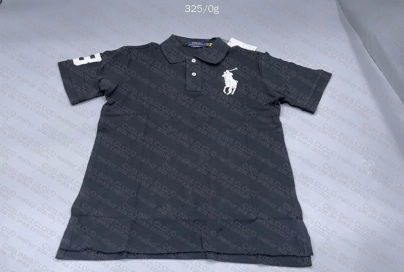 Artie Master Grey Hoddie & Ralph Lauren Big Pony 5