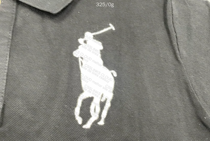 Artie Master Grey Hoddie & Ralph Lauren Big Pony 6