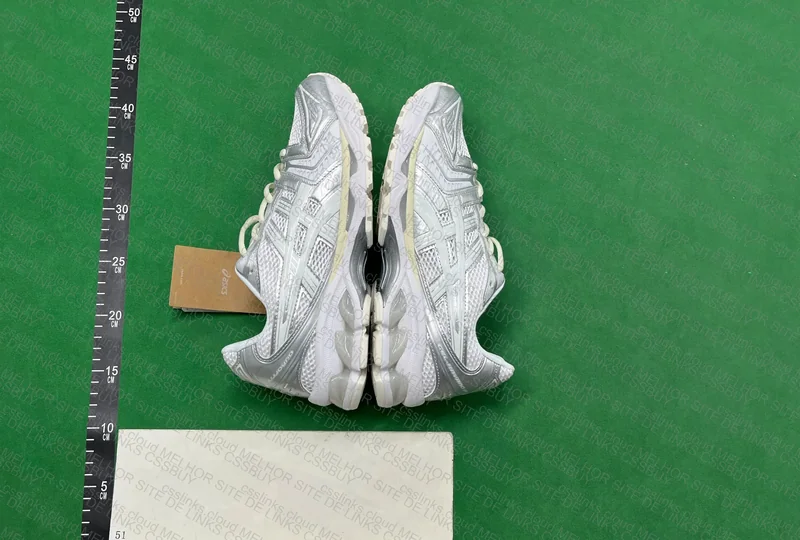 AS Kayano14 4