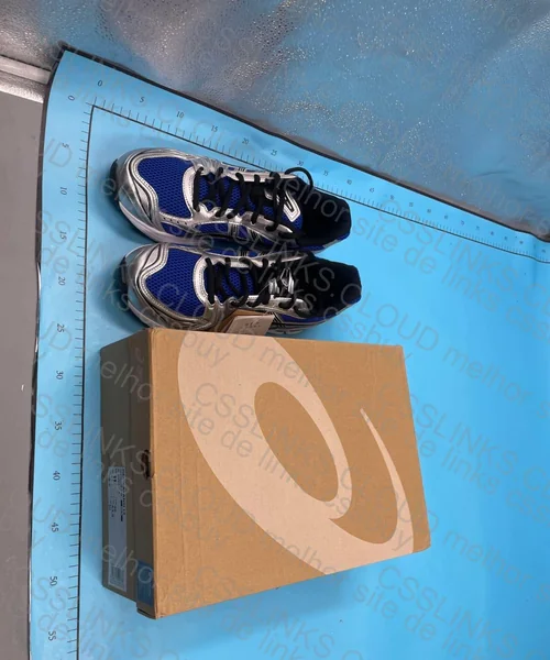 Asics Gel-Kayano Blue 5
