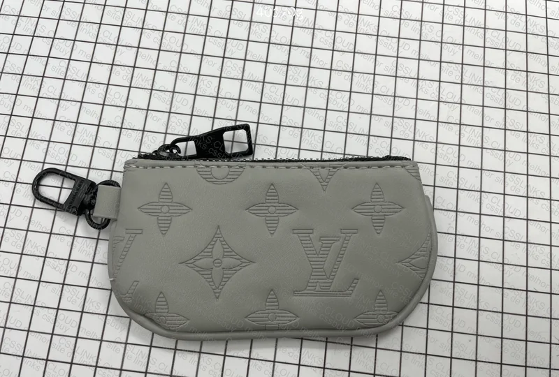 Gray LV Bag 5