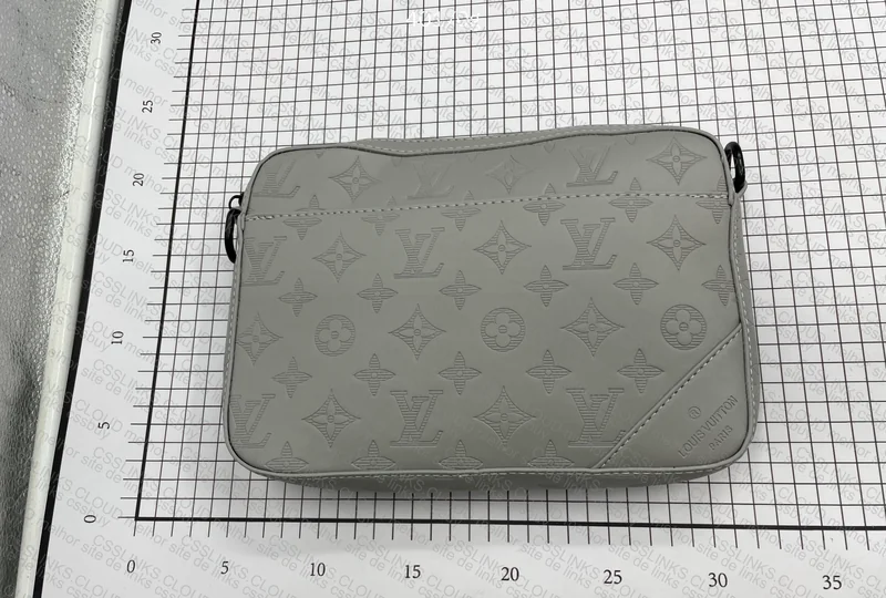 Gray LV Bag 7