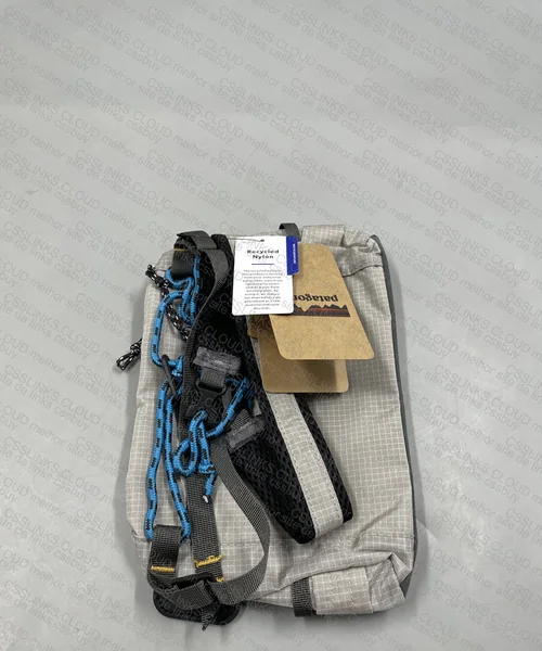 Patagonia Bag
