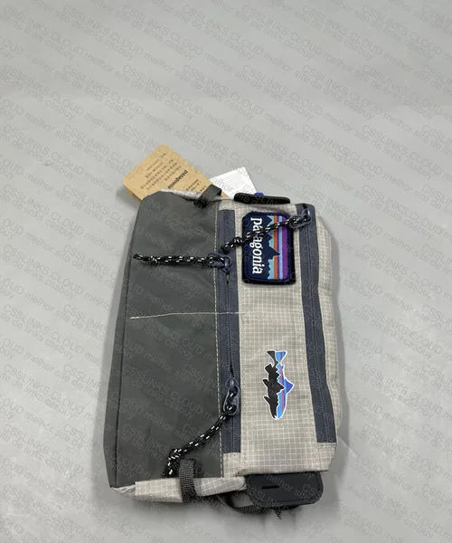 Patagonia Bag 2