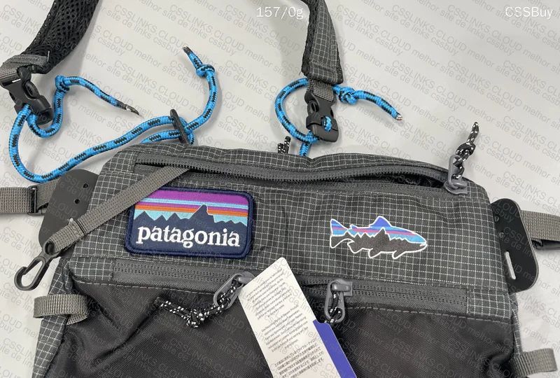 bag patagonia 2