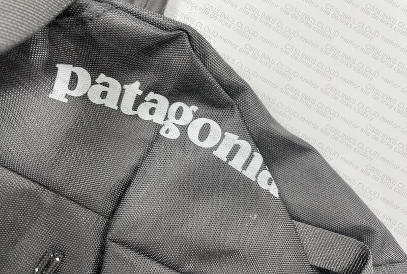 Patagonia Bag 4