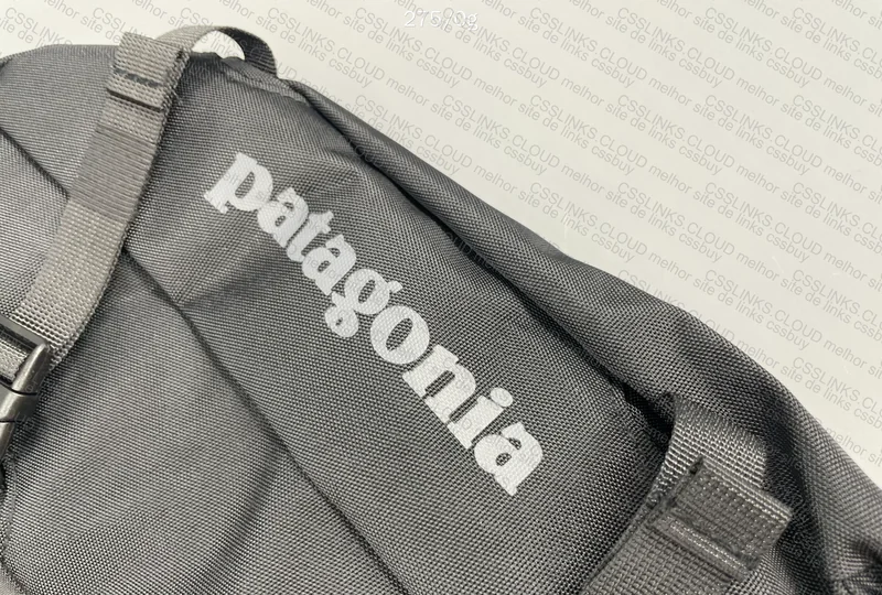 Bag Patagonia 6