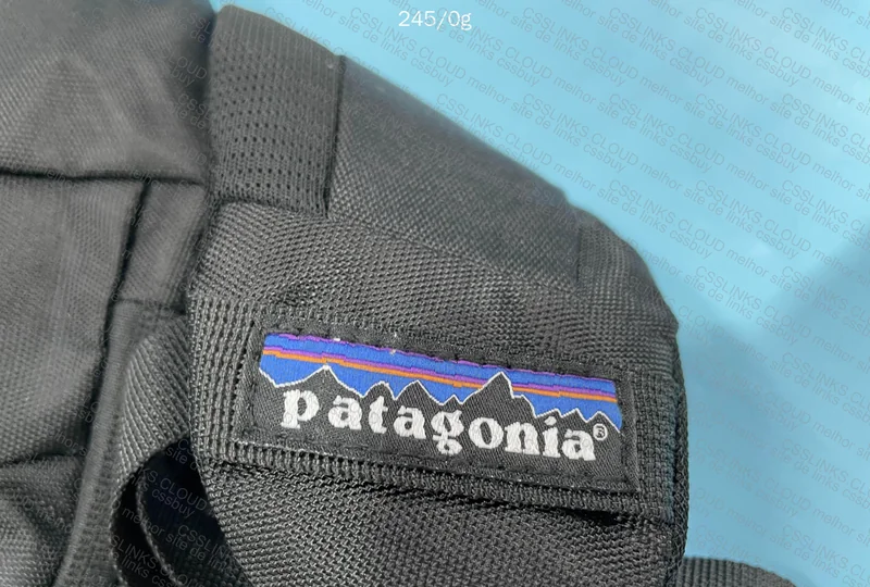 Patagonia Bag 2