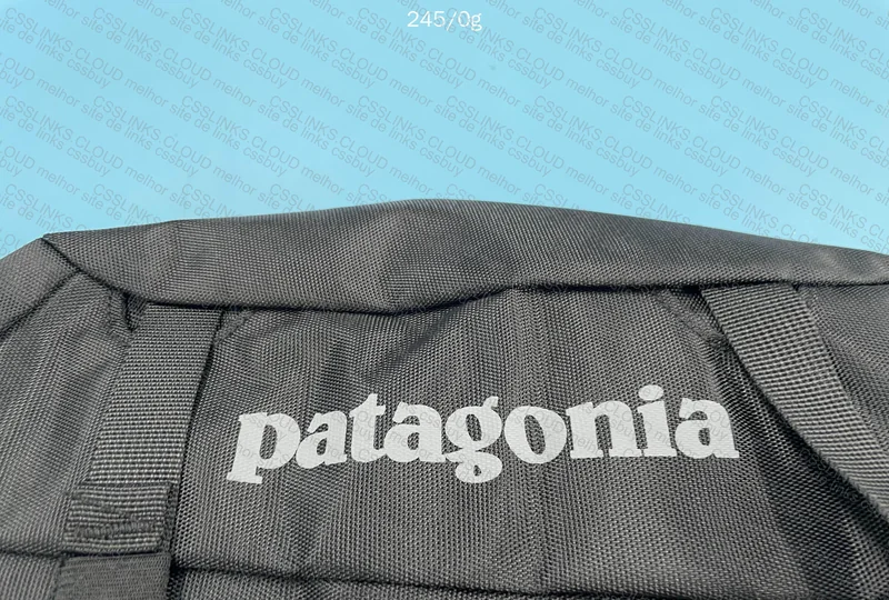 Patagonia Bag 3